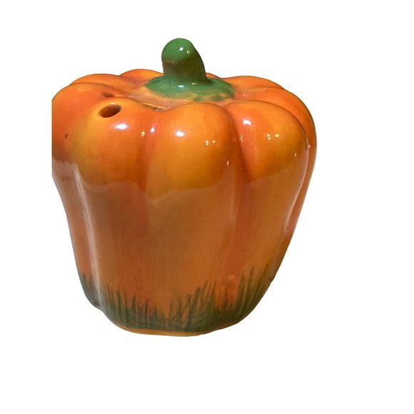 Asparagus Pepper/Pumpkin Salt Pepper SMALL Shaker Set - Picture 4 of 8